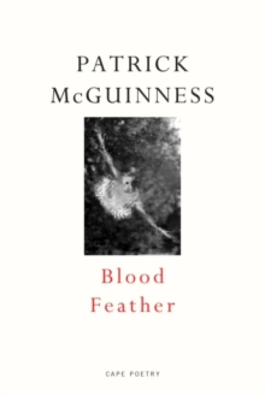 Image of Blood Feather. Paperback. By Patrick McGuinness Books
