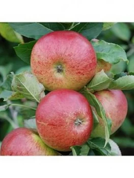 Image of Apple Gala' 5L