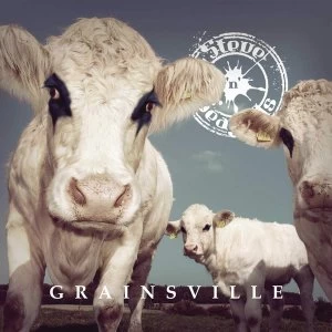 Image of Steve N Seagulls - Grainsville Vinyl