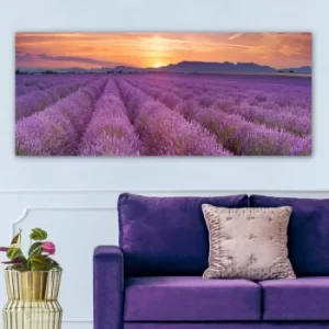 Image of YTY398412370_50120 Multicolor Decorative Canvas Painting