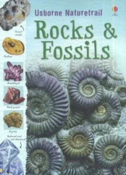 Image of Rocks and Fossils by Struan Reid and Brin Edwards and Non Figg and Ian Jackson and Jane Chisholm and Susanna Davidson Paperback