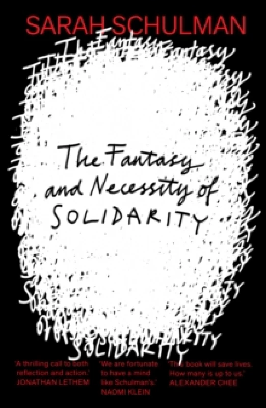 Image of The Fantasy and Necessity of Solidarity Paperback / softback