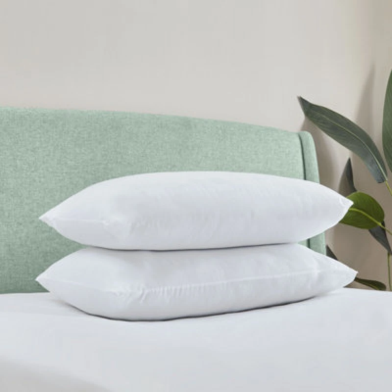 Image of Catherine Lansfield Anti Allergy Hollowfibre Pillow Pair White