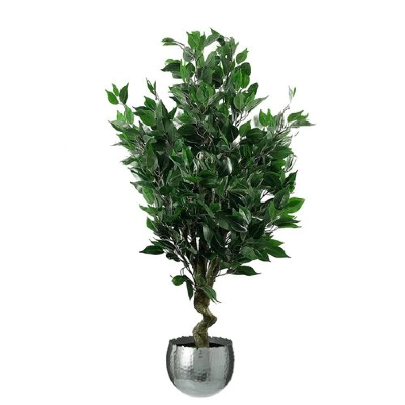 Image of Leaf 110cm Artificial Evergreen Twist Ficus Tree Silver Curve Planter Green