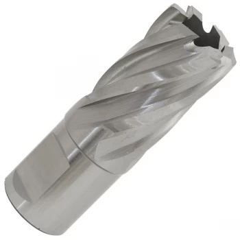 Image of Worksafe RBHSS20S Rotabor Cutter HSS Ø20mm - Cut Depth 25mm