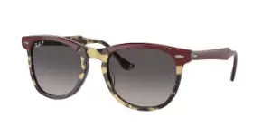 Image of Ray-Ban Sunglasses RB2398 Eagleeye Polarized 1377M3