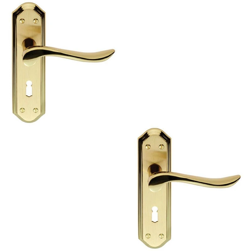 Image of Loops 2x PAIR Curved Lever on Sculpted Edge Backplate 180 x 48mm Satin/Polished Brass Metallics