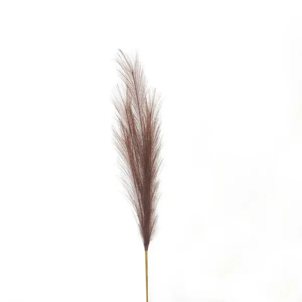 Image of Taupe Faux Pampas Grass Stem