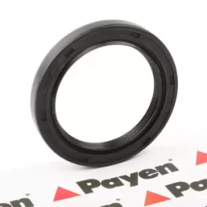 Image of PAYEN Crankshaft Seal FIAT,HYUNDAI,KIA NJ005 2142133114,MD008882,MD050606 Crankshaft Gasket,Shaft Seal, crankshaft MD069949,MD168061