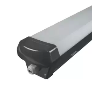 Image of Phoebe LED IP65 Fitting 4ft 40W Cool White Emergency Black Non-Corrosive