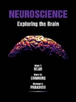Image of Neuroscience by Mark F Bear and Barry W Connors and Michael a Paradiso Book