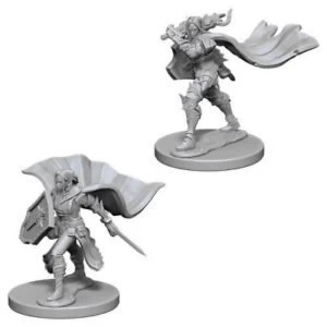Image of Pathfinder Deep Cuts Unpainted Miniatures (W4) Elf Female Paladin