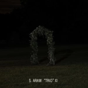 Image of S. Araw Trio 11 - Gazebo Effect Vinyl
