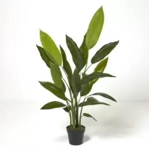 Image of Heliconia Plant in Pot, 140cm Tall - Green - Homescapes
