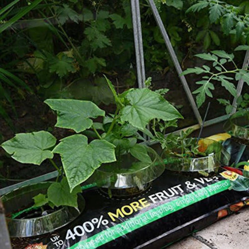 Image of THOMPSON & MORGAN Thompson&morgan - Incredicrop Grow Bag 35 Litre Bag x 1 KA6994