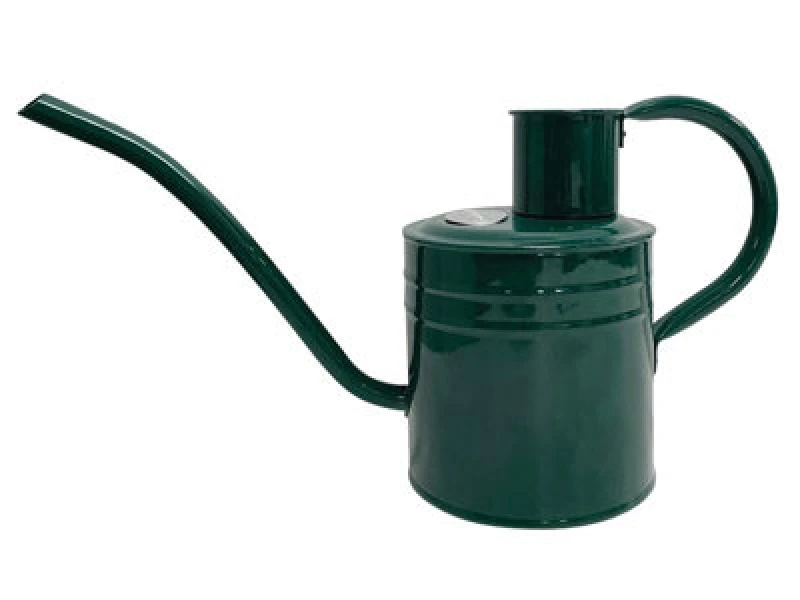 Image of KENT & STOWE 70300641 Indoor/Outdoor Watering Can Forest Green 2 Litre - Kent&stowe 70300641