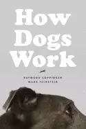 Image of how dogs work