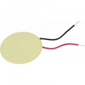 Image of Piezoceramic element EPZ 20MS64