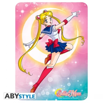 Image of Sailor Moon - Sailor Moon (28 x 38cm) Metal Plate