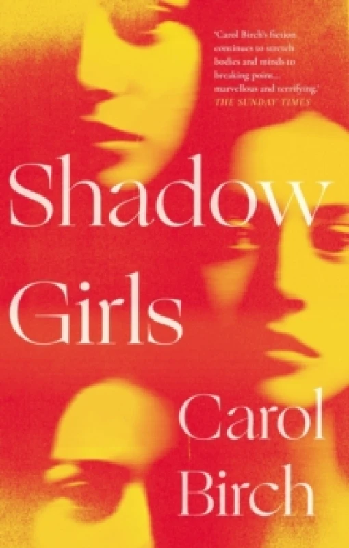 Image of Shadow Girls Hardback