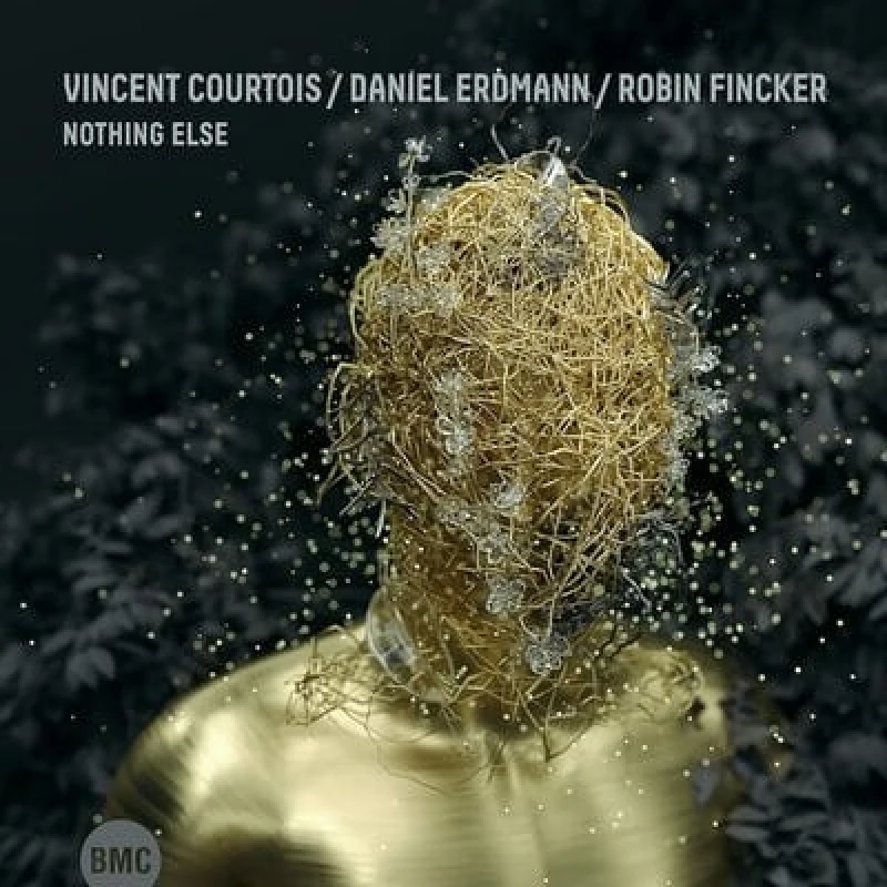 Image of Vincent Courtois, Daniel Erdmann & Robin Fincker - Nothing Else CD Album - Used