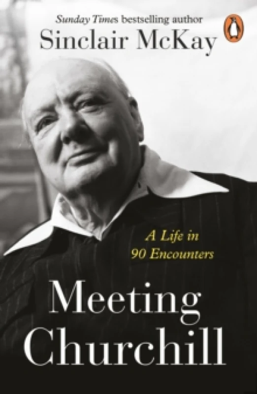 Image of Meeting Churchill : A Life in 90 Encounters Paperback / softback