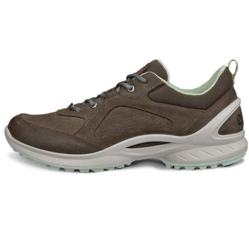 Image of Ecco Biom Energi Dark clay female 4 (36)