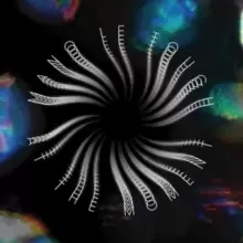 Image of At the Moment