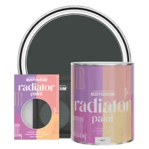 Image of Rust-Oleum Radiator Paint, Matt Finish - Black Sand - 750ml