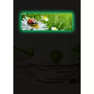 Image of 3090DACT-10 Multicolor Decorative LED Lighted Canvas Painting