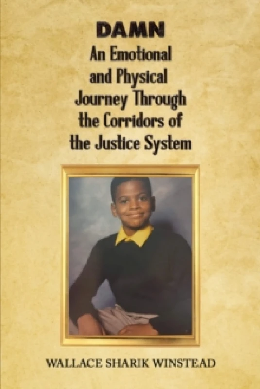 Image of DAMN: An Emotional and Physical Journey Through the Corridors of the Justice System Paperback / softback