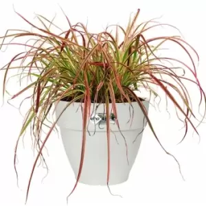 Image of Flowerpot Cachepot Garden Planter Box Outdoor Plant Pot Modern Design Plastic White Round Square Rectangular rund/11,3 Liter (de)