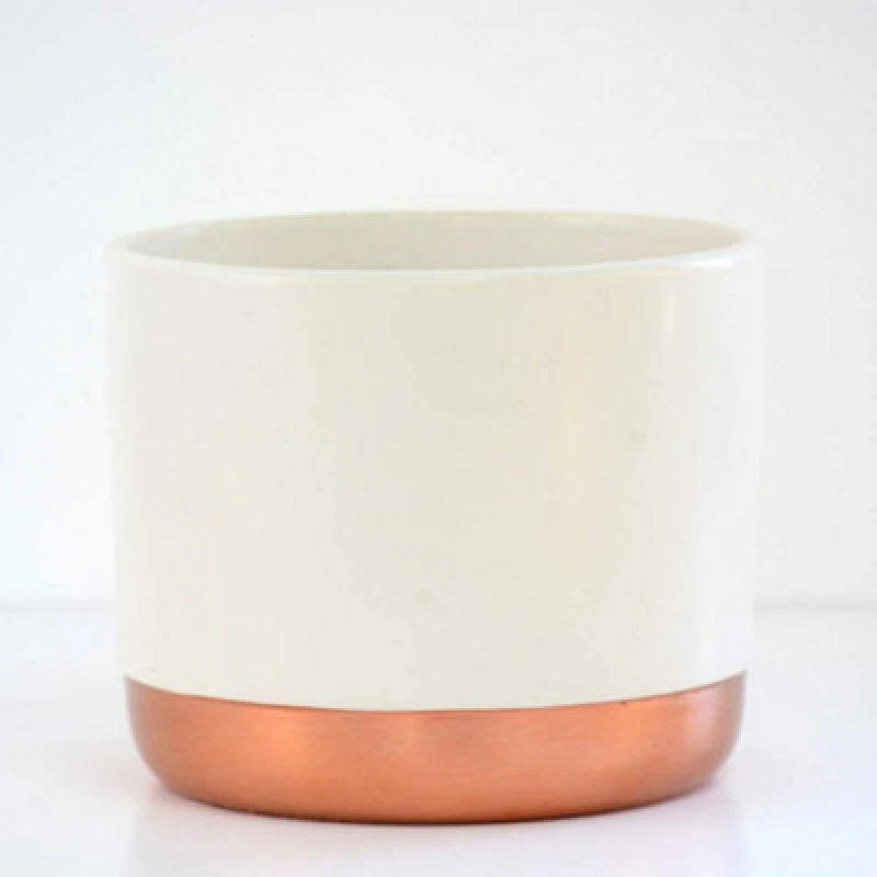 Image of Thompson & Morgan Two-Tone Ceramic White-Rose Gold 10.5Cm Medium Pot