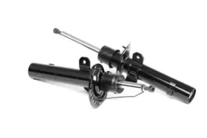 Image of RIDEX Shock absorber FORD 854S1562 1121987,1121988,1121989 Shocks,Shock absorbers,Suspension shocks 1149522,1149524,1204547,1219706,1220107,1220115