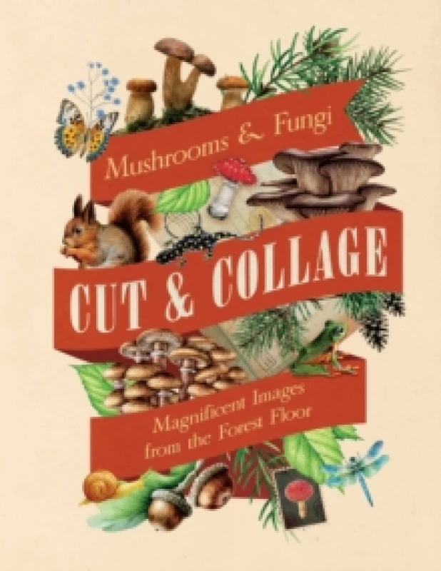 Image of Cut & Collage Mushrooms and Fungi : Magnificent Images from the Forest Floor Paperback / softback