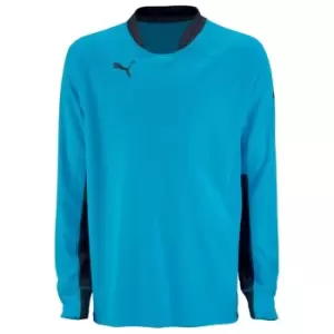 Image of Puma Goal Keeper Shirt Mens - Blue