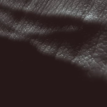 Image of JK Flesh - Posthuman CD