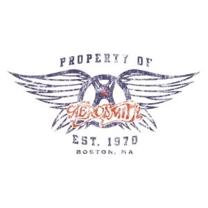 Image of Aerosmith - Wings Greetings Card