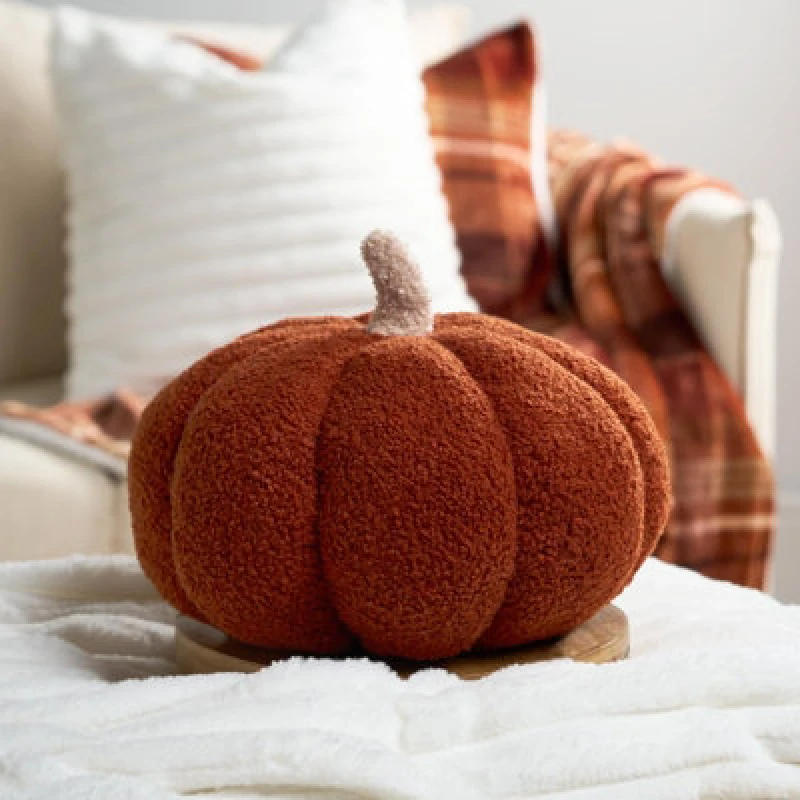 Image of OHS OHS Pumpkin Sofa Cushion Soft Fleece Filled Autumn Plush Home Decor Plump in Burnt Orange Burnt Orange One Size Unisex 5027434191840