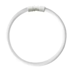 Image of Kosnic 22w CFL T5 Circular Tube 2GX13 Cool White - KFT22STC/4P-840