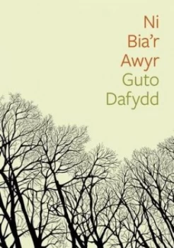 Image of Ni Biar Awyr by Guto Dafydd Book