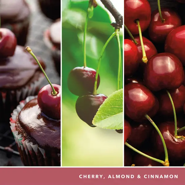 Image of Yankee Candle Black Cherry Scented Candle 368g