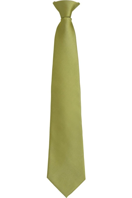 Image of Premier Premier Colours Fashion Plain Clip-On Tie in Light Green Light Green One Size Unisex 5063470683437