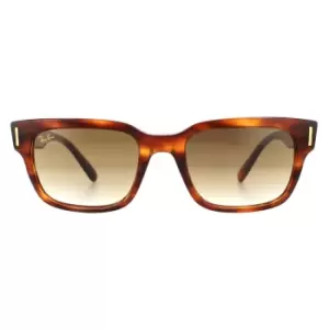 Image of Square Tortoise Light Brown Gradient Sunglasses