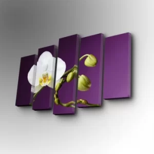 Image of 5PUC-112 Multicolor Decorative Canvas Painting (5 Pieces)