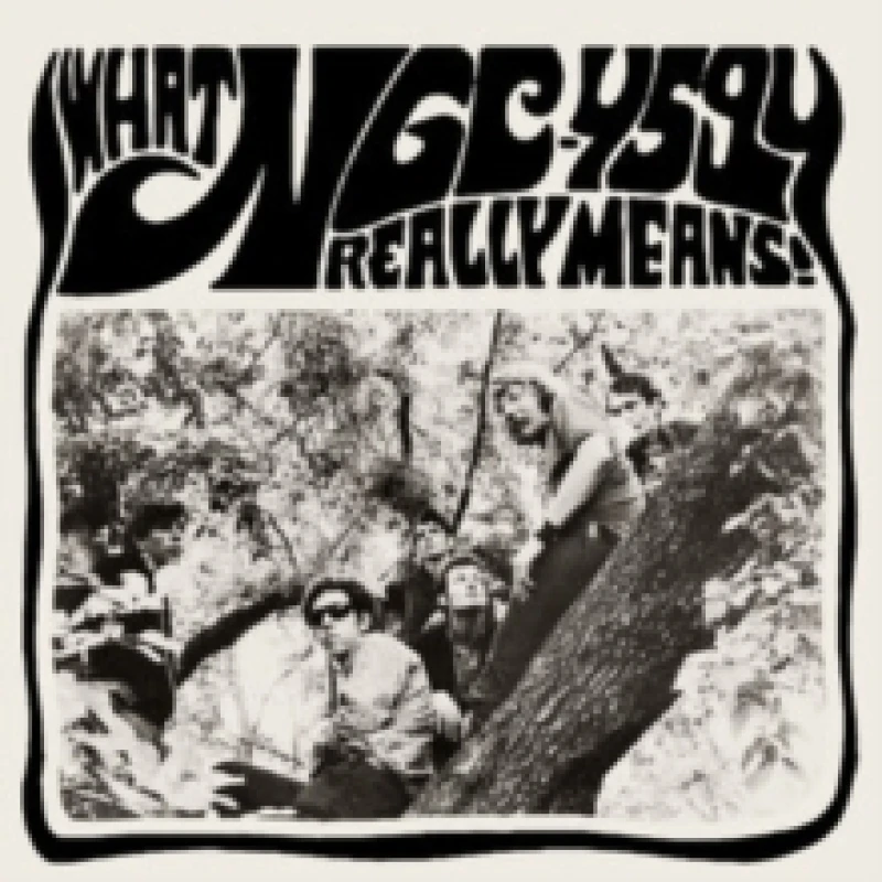 Image of What NGC-4594 Really Means! Vinyl