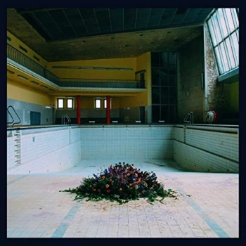 Image of LYR - Call in the Crash Team CD