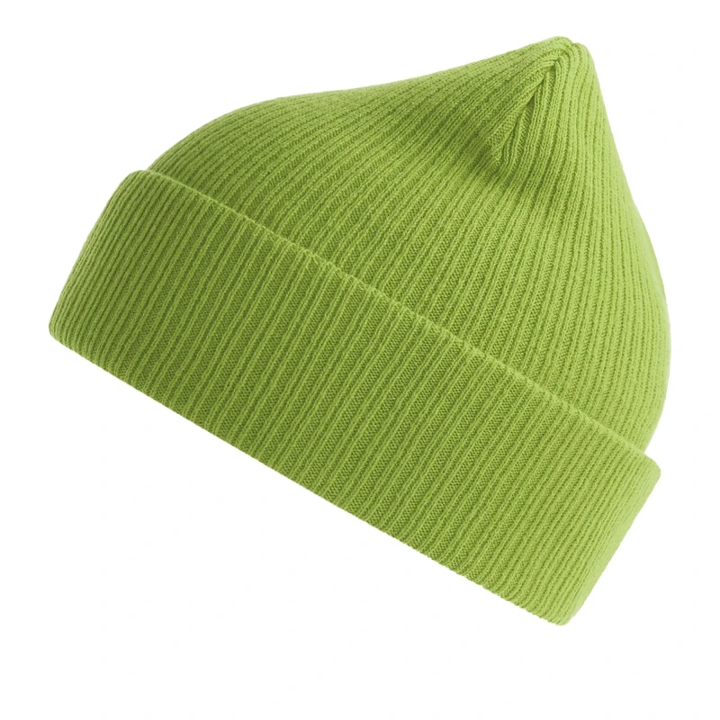 Image of Atlantis Atlantis Men Nelson Ribbed Cotton Beanie in Pale Green Pale Green One Size Male 5063300861165
