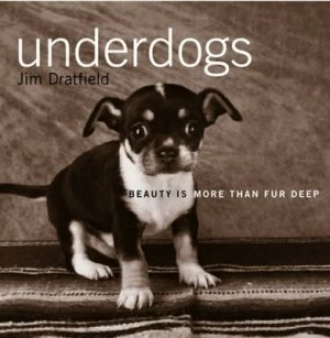 Image of Underdogs by Jim Dratfield Book