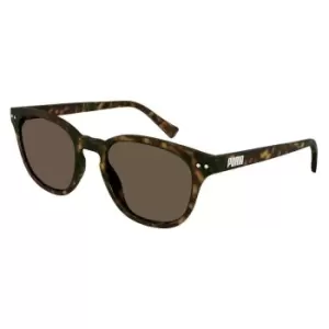 Image of Puma Unisex Sunglasses PE0186S - Brown